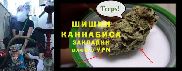 индика Абинск