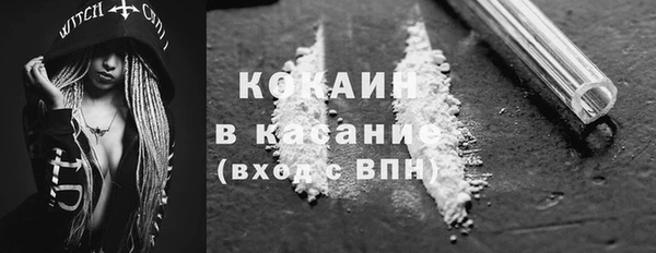 индика Абинск