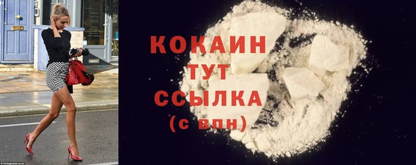индика Абинск