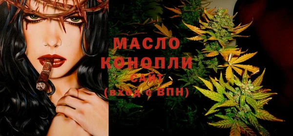 индика Абинск